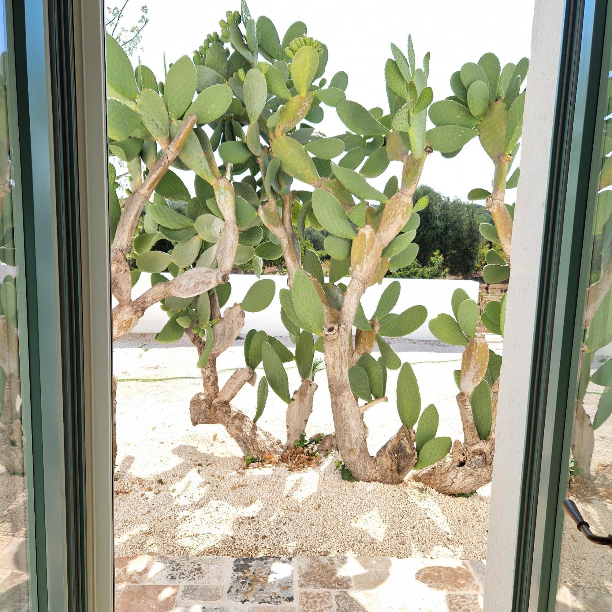 Masseria Paradiso Ostuni Bagian luar foto